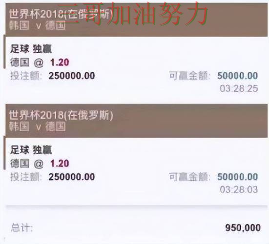 世界杯投注平台推荐全面分析合集：覆盖玩法指南+直播与入口方式 - 世界杯官方信息