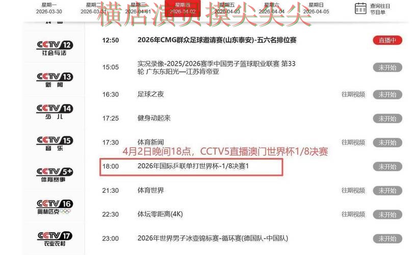 世界杯高清直播期间热门世界杯投注平台推荐整理与直播入口分析