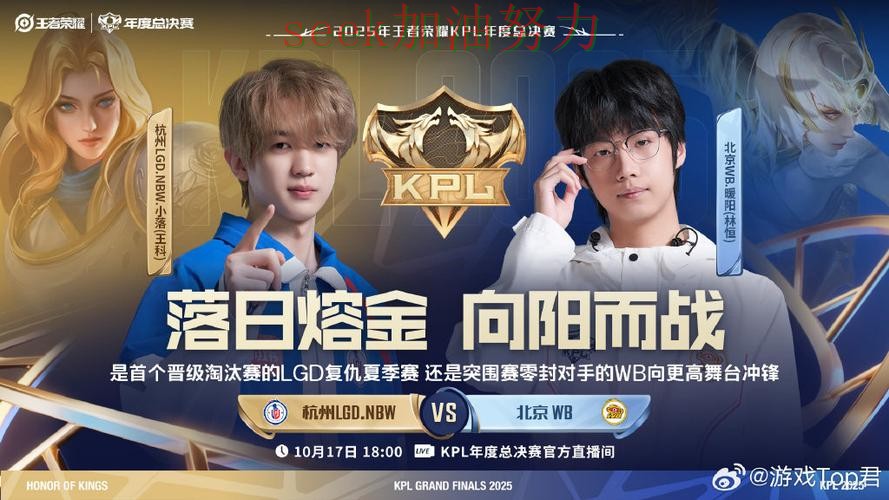 世界杯竞猜避坑指南告诉你：平台可靠吗的正确方式（全球总决赛）